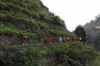 Levada Wanderung Maracos