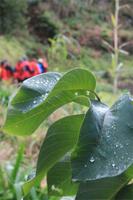 Levada Wanderung Maracos