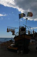 Camara de Lobos