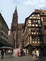 Blick auf das Münster