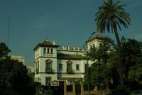 Sevilla_Palmenallee (2)