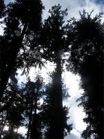 Pacific Rim Nationalpark