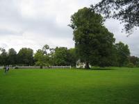 Garten von Jumieges