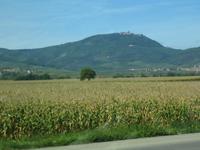 Blick auf die Vogesen