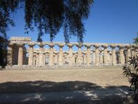 Paestum_Heratempel (4)