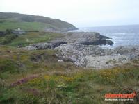 Sheeps Head Nordküste