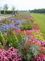 bunte Blumenpracht