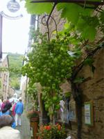 in Beilstein