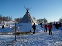 Am Rentiergehege in Kirkenes