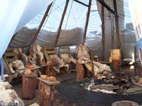 Blick in das Samizelt