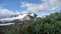 Sognefjell