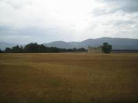 Lavendelfelder Puimoisson