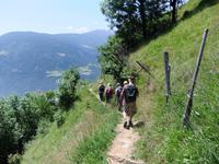 und schon geht es bergab