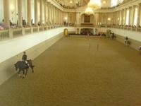 Span.Hofreitschule