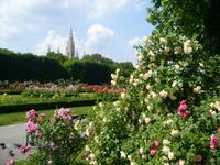Rosengarten in Wien