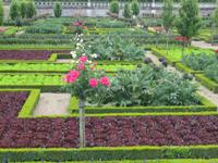 Gärten von Villandry
