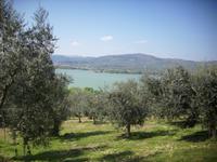 Aussichten von der Insel