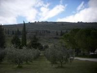 Landschaft um Spello