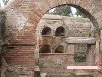 Collomberium in Ostia
