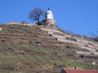Radebeul, Weinlage Lössnitz