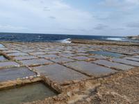 Salinen auf Gozo