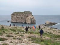 Pilzfelsen am Azure Window auf Gozo