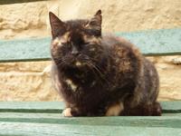 in aller Freundschaft