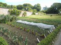 Trengwainton Gardens