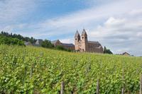 Mitten in den Rebhängen, Abtei St. Hildegard