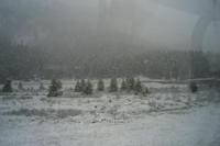 Fahrt mit dem Bernina-Express