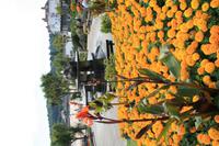 Hafenpromenade von St. Brelade