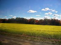 ... eine Busfahrt die ist schön.