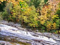 Toll, die Laubfärbung und das ruhig fließende Wasser