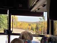 ... links und rechts Wald. 5 Kilometer werden lang.