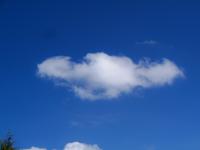 Eine Schönwetterwolke