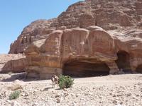 In Petra