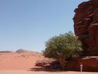 Im Wadi Rum