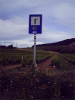 Weinbau Rioja