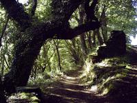 mystische Wege in Galizien