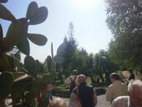 in den Vatikanischen Gärten