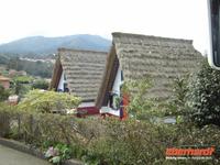 strohgedeckte HÃ€uschen in Santana