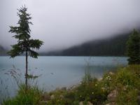 Am Lake Louise