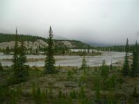 Entlang des Icefield Parkways