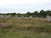 Tag 8 - 2 Steinreihen von Carnac (2)