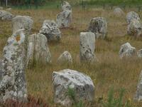 Tag 8 - 2 Steinreihen von Carnac (3)