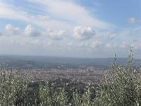 Blick auf Florenz