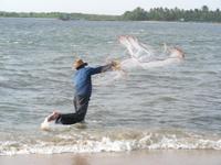 Auswurf des Handnetzes