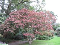 Glenveagh Nationalpark