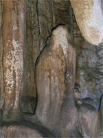 ein kleiner Elefant in der Höhle