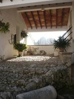 in den Gärten von Alfábia